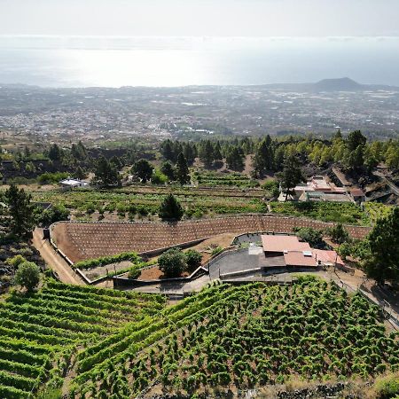 Finca Ecologica Ferrera. Alojamiento Rural. Arafo Ngoại thất bức ảnh