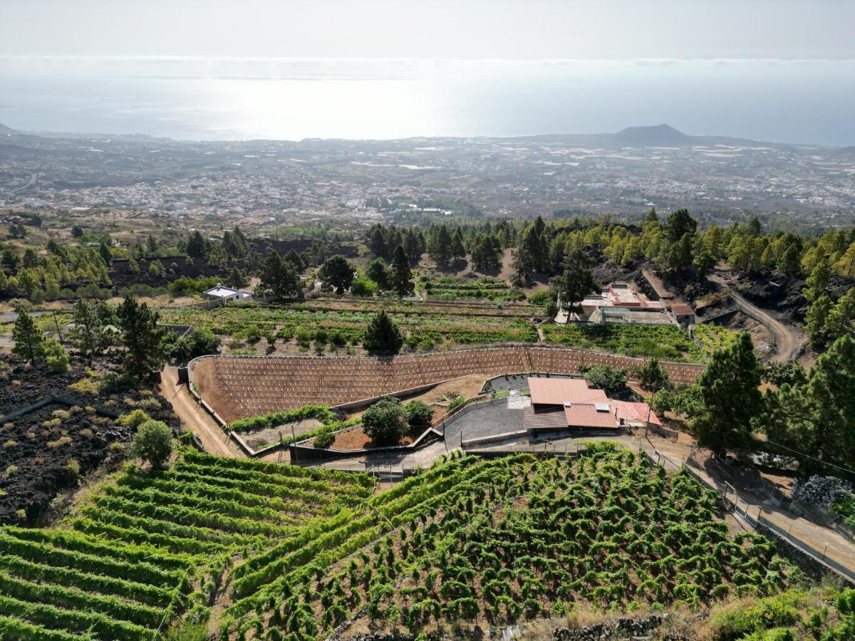 Finca Ecologica Ferrera. Alojamiento Rural. Arafo Ngoại thất bức ảnh